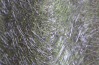 Sempringham fibreglass roof work